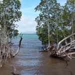 Seszele / Danuta Rasała