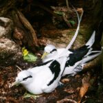 Seszele / Danuta Rasała