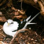 Seszele / Danuta Rasała