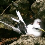 Seszele / Danuta Rasała