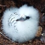 Seszele / Danuta Rasała