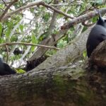 Seszele / Danuta Rasała