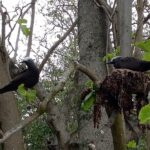 Seszele / Danuta Rasała