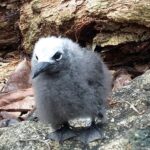 Seszele / Danuta Rasała