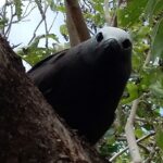 Seszele / Danuta Rasała