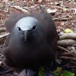 Seszele / Danuta Rasała