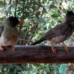 Seszele / Danuta Rasała