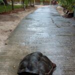 Seszele / Danuta Rasała