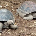 Seszele / Danuta Rasała