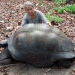 Seszele / Danuta Rasała