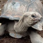 Seszele / Danuta Rasała