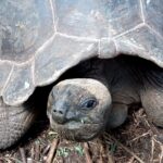 Seszele / Danuta Rasała