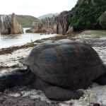 Seszele / Danuta Rasała