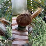 Seszele / Danuta Rasała