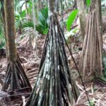 Seszele / Danuta Rasała