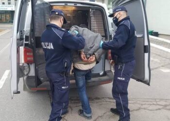 Zatrzymanie jednej z osób podejrzanych o kradzież w sanktuarium w Sulisławicach / policja