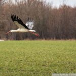 Joanna Szubzda / Radio Białystok