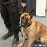 Świętokrzyska Policja