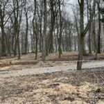 04.03.2021. Sandomierz. Prace w parku miejskim / Grażyna-Szlęzak-Wójcik / Radio Kielce