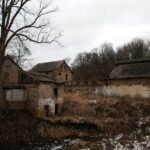 23.01.2021. Doły Biskupie. Ruiny fabryki tektury / Robert Felczak / Radio Kielce