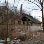 23.01.2021. Doły Biskupie. Ruiny fabryki tektury / Robert Felczak / Radio Kielce
