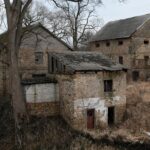 23.01.2021. Doły Biskupie. Ruiny fabryki tektury / Robert Felczak / Radio Kielce