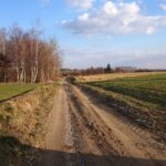 11.03.2021 Biechów. Drogi gminne / Emilia Sitarska / Radio Kielce