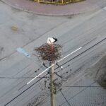 16.03.2021 Łukowa. Bocian na gnieździe / Jarosław Kubalski / Radio Kielce