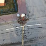 16.03.2021 Łukowa. Bocian na gnieździe / Jarosław Kubalski / Radio Kielce