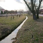 19.03.2021. Rzeka Modła / Emilia Sitarska / Radio Kielce