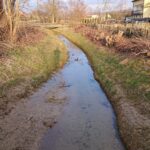 19.03.2021. Rzeka Modła / Emilia Sitarska / Radio Kielce