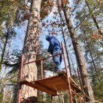 10.03.2021. Maleniec. Wycinanie barci dla pszczół / Magdalena Galas-Klusek / Radio Kielce