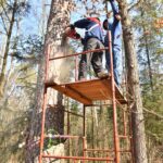 10.03.2021. Maleniec. Wycinanie barci dla pszczół / Magdalena Galas-Klusek / Radio Kielce