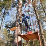 10.03.2021. Maleniec. Wycinanie barci dla pszczół / Magdalena Galas-Klusek / Radio Kielce