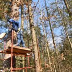 10.03.2021. Maleniec. Wycinanie barci dla pszczół / Magdalena Galas-Klusek / Radio Kielce