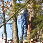 10.03.2021. Maleniec. Wycinanie barci dla pszczół / Magdalena Galas-Klusek / Radio Kielce