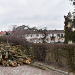 31.03.2021 Końskie. Wycinka drzew przed kolegiatą Świętego Mikołaja / Magdalena Galas-Klusek / Radio Kielce