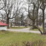 31.03.2021 Końskie. Wycinka drzew przed kolegiatą Świętego Mikołaja / Magdalena Galas-Klusek / Radio Kielce