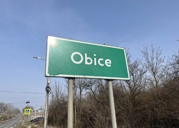 Obice / Fot. Jarosław Kubalski - Radio Kielce