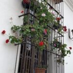 Gwatemala / Grażyna Woźniczka