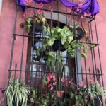 Gwatemala / Grażyna Woźniczka