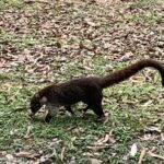 Gwatemala / Grażyna Woźniczka