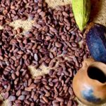 Gwatemala / Grażyna Woźniczka