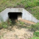 Droga S74 Kielce - Cedzyna. Przejście dla zwierząt. Przykład przejścia z ciekiem wodnym / GDDKiA