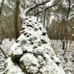 21.03.2021. Kielce. Stadion. Śnieg w pierwszym dniu wiosny / Jarosław Kubalski / Radio Kielce
