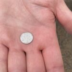 13.03.2021. Sandomierz. Przeszukiwanie terenu Parku Saskiego w Sandomierzu / Grażyna Szlęzak-Wójcik / Radio Kielce