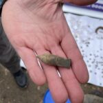 13.03.2021. Sandomierz. Przeszukiwanie terenu Parku Saskiego w Sandomierzu / Grażyna Szlęzak-Wójcik / Radio Kielce