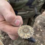 13.03.2021. Sandomierz. Przeszukiwanie terenu Parku Saskiego w Sandomierzu / Grażyna Szlęzak-Wójcik / Radio Kielce