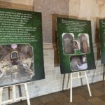 14.03.2021. Jędrzejów. Wystawa „Przywrócić perle blask” / Ewa Pociejowska-Gawęda / Radio Kielce