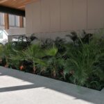 04.03.2021. Busko-Zdrój. Tężnia i dom zdrojowy / Marta Gajda / Radio Kielce